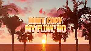Don’t Copy My Flow